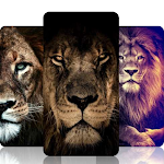 Cover Image of Скачать Lion HD Wallpapers 1.0.0 APK
