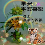 Cover Image of Download 早上好，晚安 gif 4k  APK