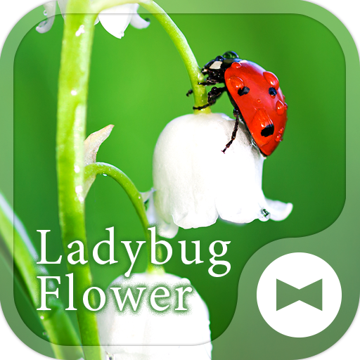 幸せを呼ぶ壁紙アイコン てんとう虫と鈴蘭 無料 Google Play のアプリ