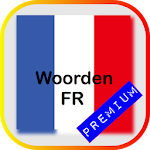 Words FR French (Translate, create Flash cards) Apk