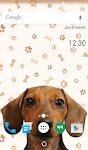 screenshot of Doggy Dream Wallpaper