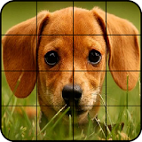 Puzzle Dogs icon