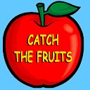 Catch the Fruits