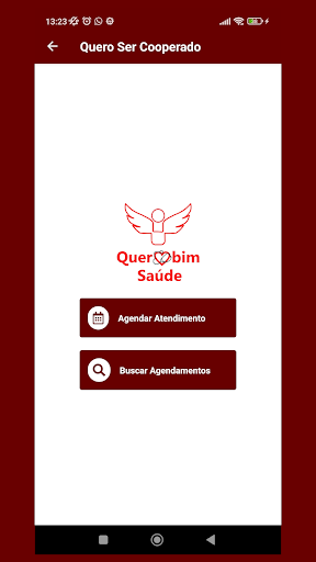 Querubim Saúde Screen 3