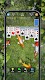 screenshot of Solitaire, Klondike Card Games