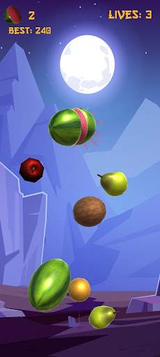 Ninja FruitStrike Screen 3