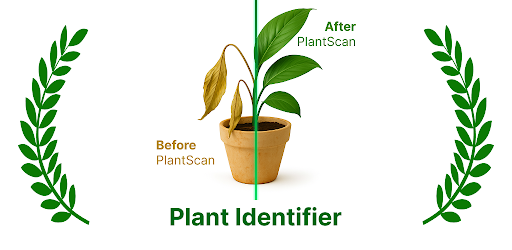 Plant Identifier - PlantScan