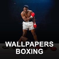 Wallpapers For Boxing