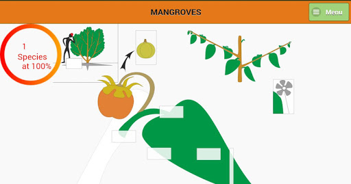 Mangroves - Identification Kit Screen 2