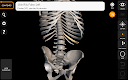 screenshot of Skeleton | 3D Anatomy