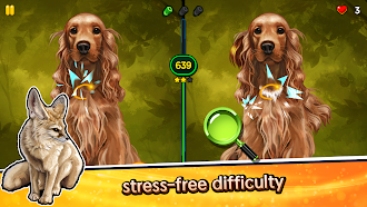 Game screenshot Find the Difference - Animals apk download