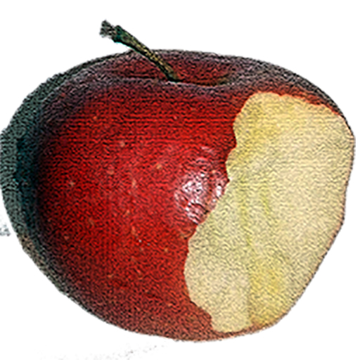 Apple user logo