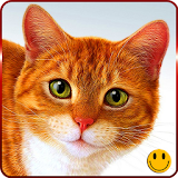 Super Lovely Cat - Free, Funny icon