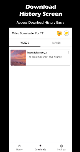 Video Downloader For TT 3