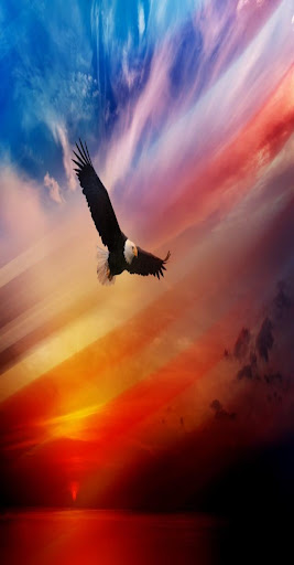 Eagle Wallpaper
