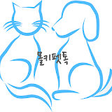 강아지 분양 고양이 분양, 랜덤톡, 채팅 : 몰키펫톡 icon