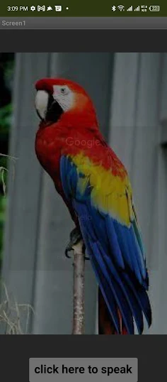 Parrot - Screenshot 3
