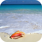 BEACH Wallpapers v1 icon