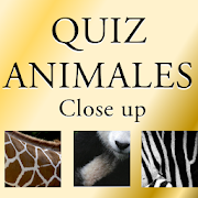 Top 25 Trivia Apps Like Quiz animales. Adivina el animal.Adivina la imagen - Best Alternatives