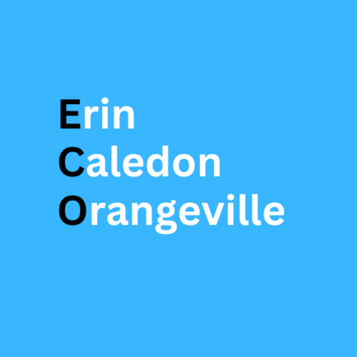 ECO NEWS WEATHER TRAFFIC