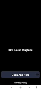 Birds sing