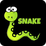 SNAKE  EXPERIENCE 2020