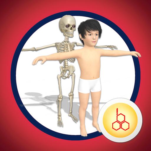 Know our Anatomy by OOBEDU logo