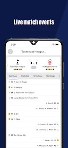 Tottenham Hotspur Fan
