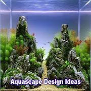 Aquascape Design Ideas