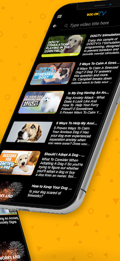 Screenshot of Dog TV