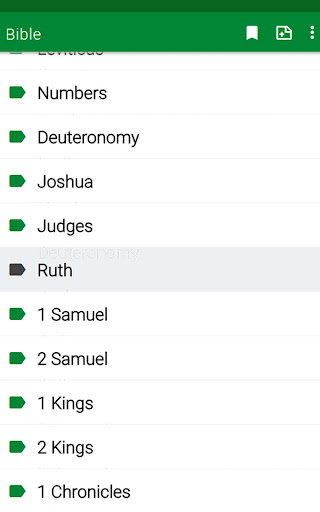 RSV Bible screenshot 18