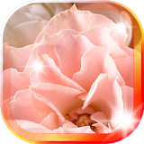 Flowers Music live wallpaper icon