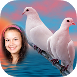 Cool Amazing Dove Photo Frames icon