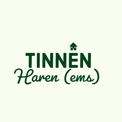 Tinnen logo