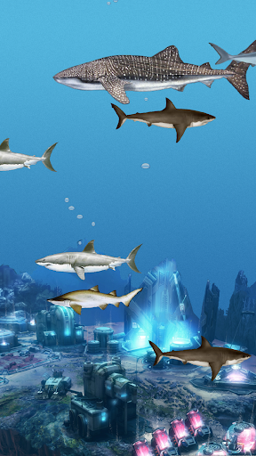 Abubu ocean live wallpaper key Screen 2