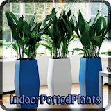 INDOOR POTTED PLANTS icon