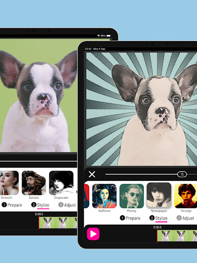Toonita Video: Pop Art Filters Screenshot