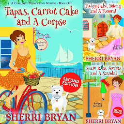 Icon image The Charlotte Denver Cozy Mystery Series