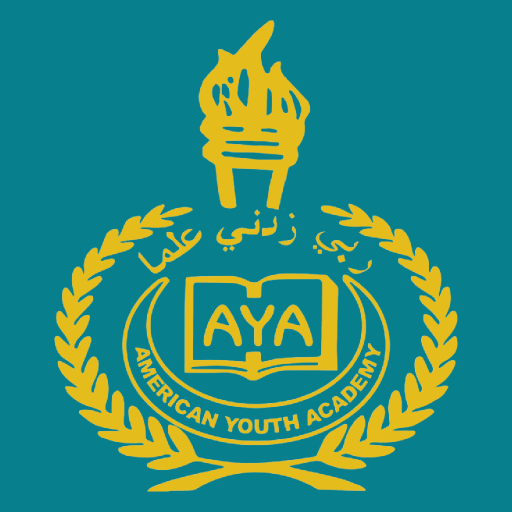 American Youth Academy  Icon