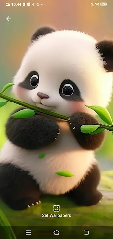 Cute Panda Wallpaper Elfarrasoのおすすめ画像3