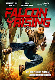 Icon image Falcon Rising