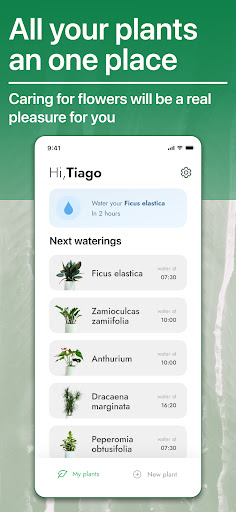 Water Plant  Watering reminder