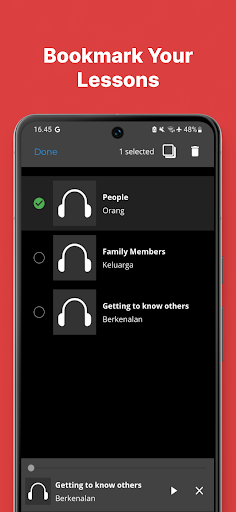 Fast - Speak Indonesian Screen 3