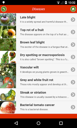 Tomato: from "A" to "Z" Screen 3