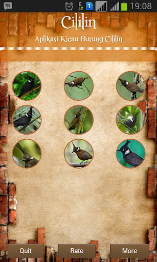 Android application Crested Jay screenshort
