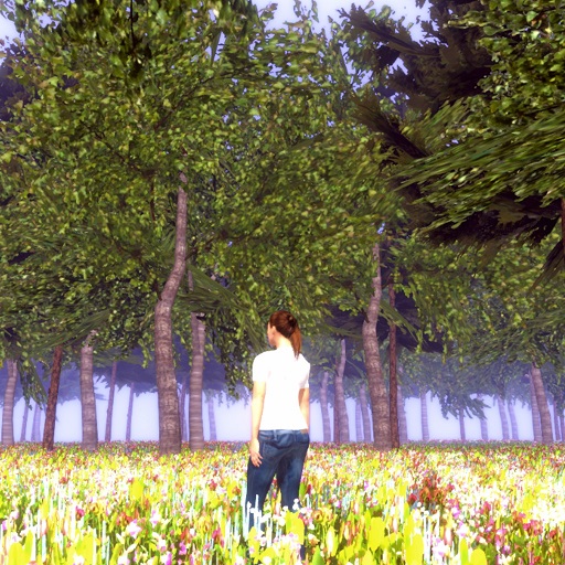 Heart of Nature Story logo