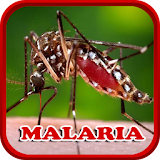 Malaria Disease Solution icon