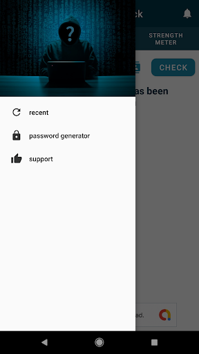 Have I been Pwned ? Screen 2