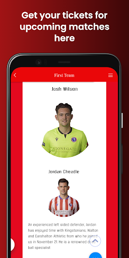 Dorking Wanderers FC Screen 3