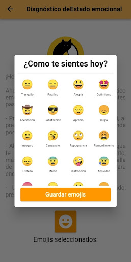 SOI ESE Screen 3